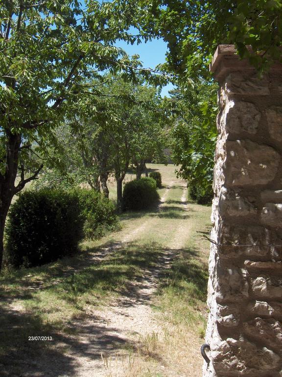 Agriturismo Il Palazzetto Apartment Campello sul Clitunno Bagian luar foto